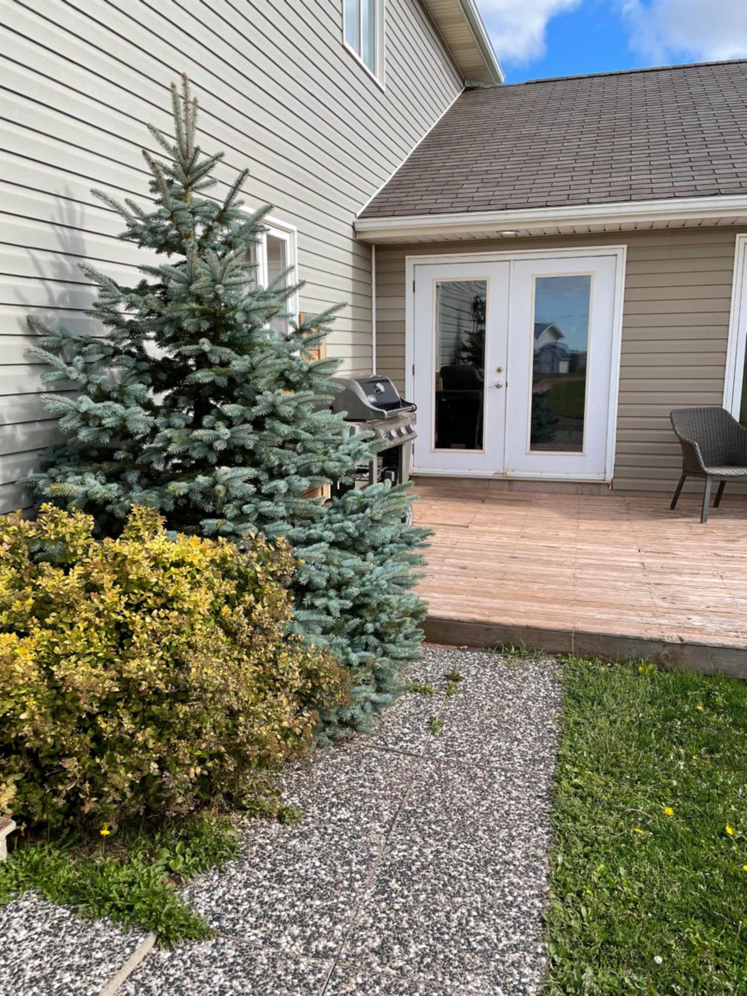 Pei Cottage Rental Borden-Carleton Extérieur photo